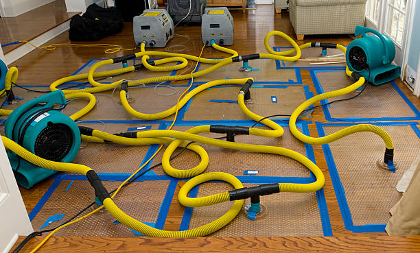 Professional Burst Pipe Water Damage technician working in New Harmony, UT
